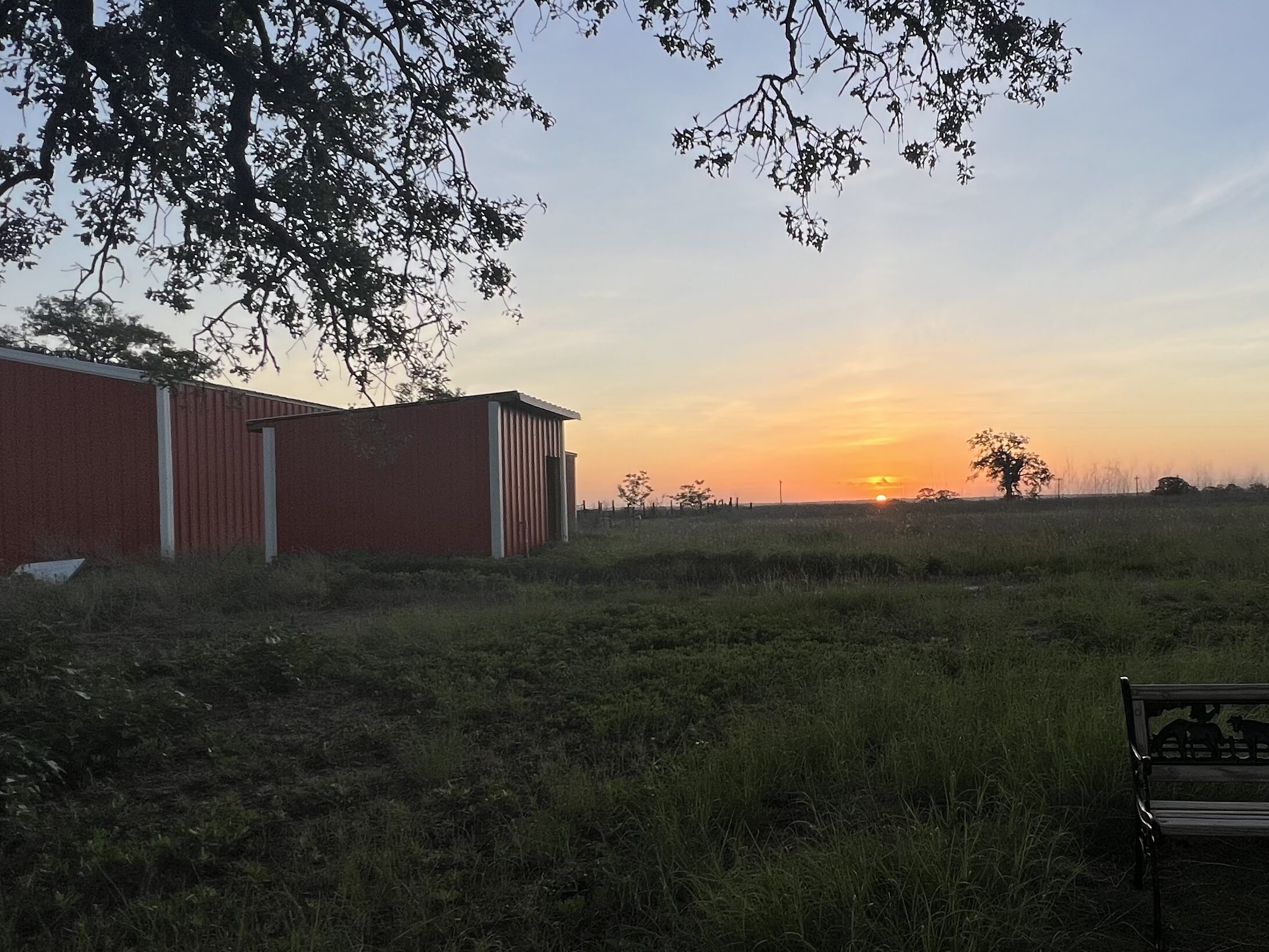 Sunset over open acreage in Bastrop County, Texas.